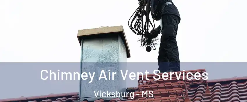  Chimney Air Vent Services Vicksburg - MS