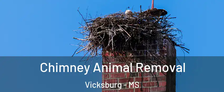 Chimney Animal Removal Vicksburg - MS