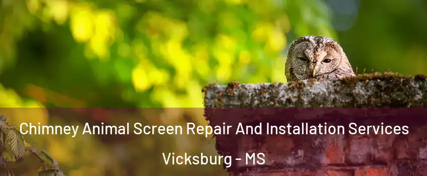  Chimney Animal Screen Repair And Installation Services Vicksburg - MS