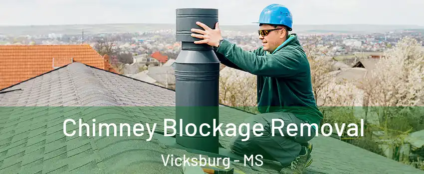 Chimney Blockage Removal Vicksburg - MS