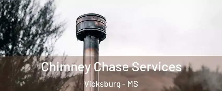  Chimney Chase Services Vicksburg - MS