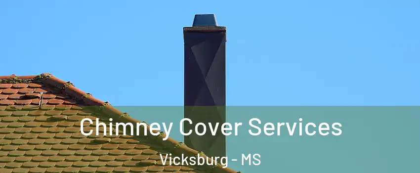  Chimney Cover Services Vicksburg - MS