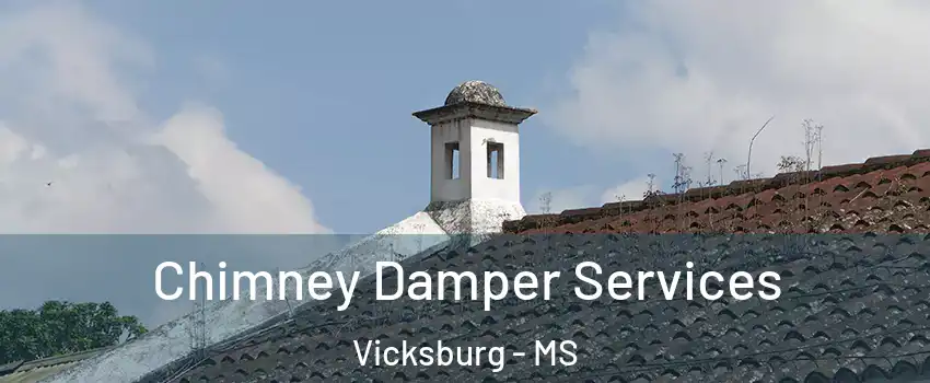 Chimney Damper Services Vicksburg - MS