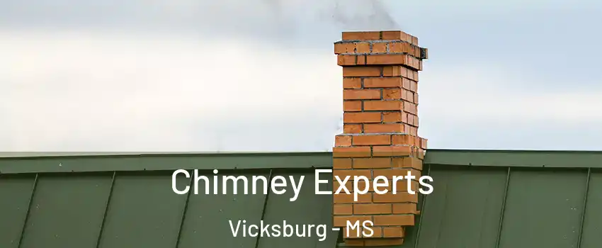 Chimney Experts Vicksburg - MS