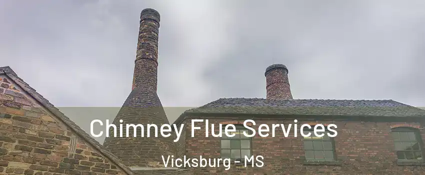  Chimney Flue Services Vicksburg - MS