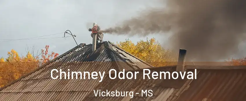  Chimney Odor Removal Vicksburg - MS