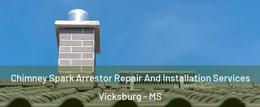  Chimney Spark Arrestor Repair And Installation Services Vicksburg - MS