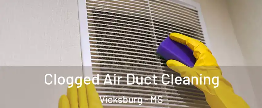 Clogged Air Duct Cleaning Vicksburg - MS