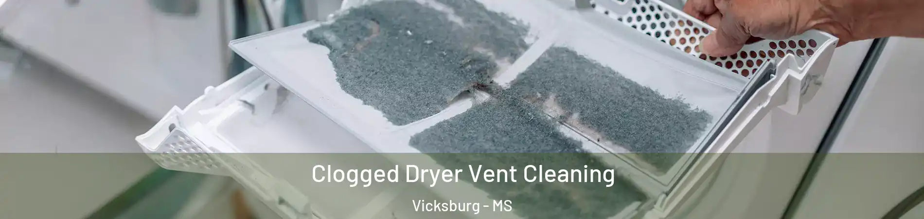  Clogged Dryer Vent Cleaning Vicksburg - MS