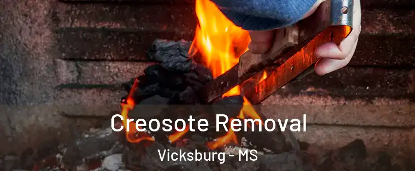  Creosote Removal Vicksburg - MS