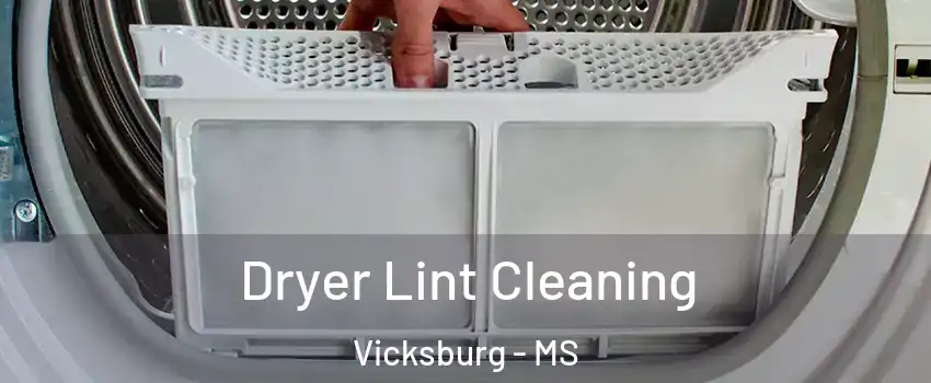  Dryer Lint Cleaning Vicksburg - MS