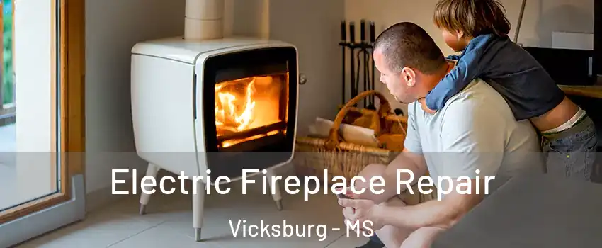  Electric Fireplace Repair Vicksburg - MS