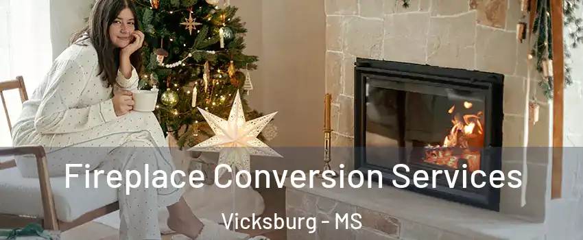  Fireplace Conversion Services Vicksburg - MS
