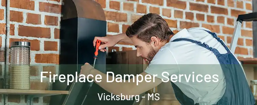  Fireplace Damper Services Vicksburg - MS