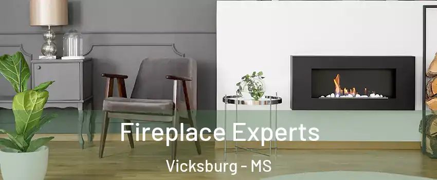  Fireplace Experts Vicksburg - MS
