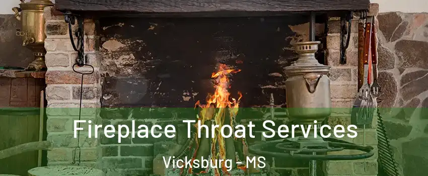  Fireplace Throat Services Vicksburg - MS