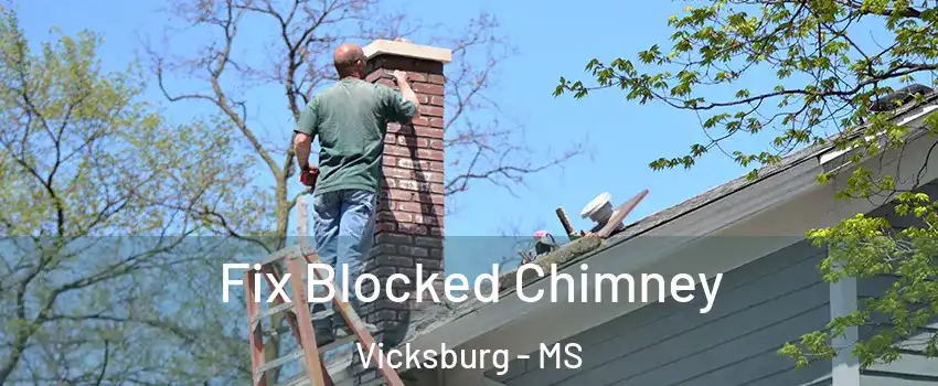  Fix Blocked Chimney Vicksburg - MS