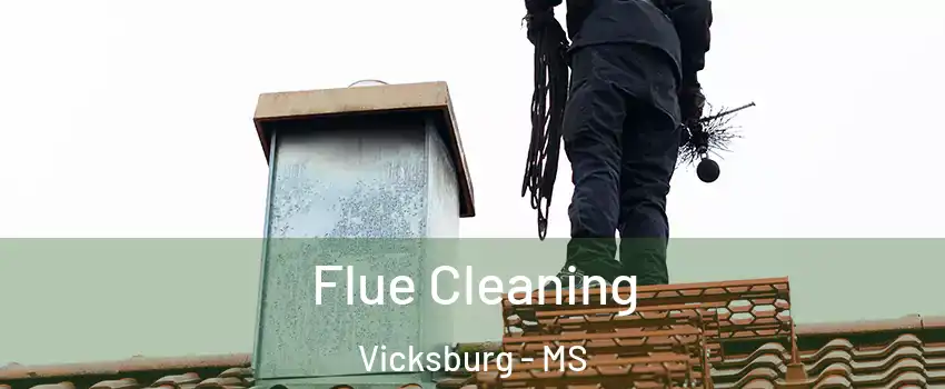  Flue Cleaning Vicksburg - MS