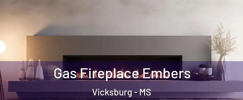  Gas Fireplace Embers Vicksburg - MS