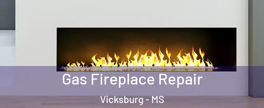  Gas Fireplace Repair Vicksburg - MS
