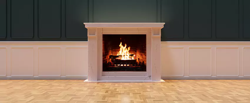 Napoleon Electric Fireplaces Inspection Service in Vicksburg, Mississippi