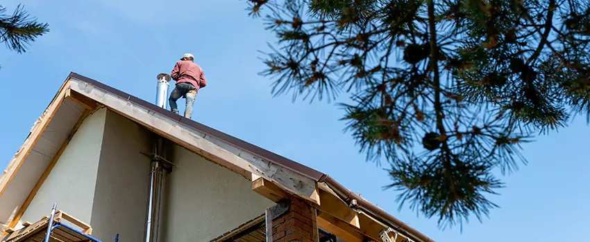 Birds Removal Contractors from Chimney in Vicksburg, MS