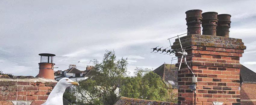 Chimney Cleaning And Restoration in Vicksburg, Mississippi