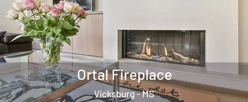 Ortal Fireplace Vicksburg - MS