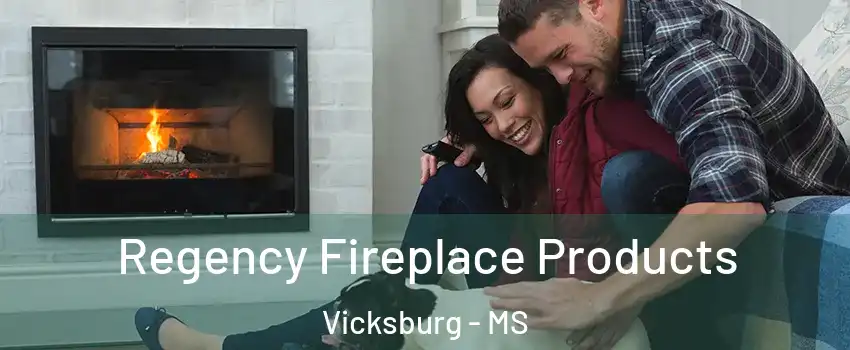  Regency Fireplace Products Vicksburg - MS