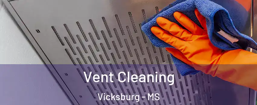  Vent Cleaning Vicksburg - MS
