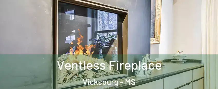  Ventless Fireplace Vicksburg - MS